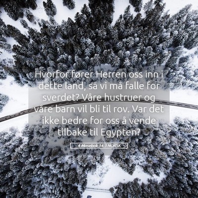 Picture 05 - 4 Mosebok 14:3 NORSK - Hvorfor fører Herren oss inn i dette land, så - Bible Verse Picture