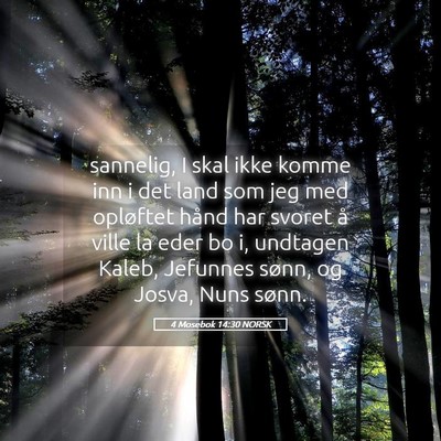 Picture 05 - 4 Mosebok 14:30 NORSK - sannelig, I skal ikke komme inn i det land som - Bible Verse Picture