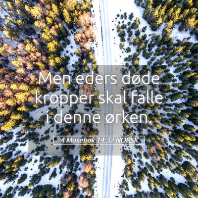 Picture 05 - 4 Mosebok 14:32 NORSK - Men eders døde kropper skal falle i denne - Bible Verse Picture