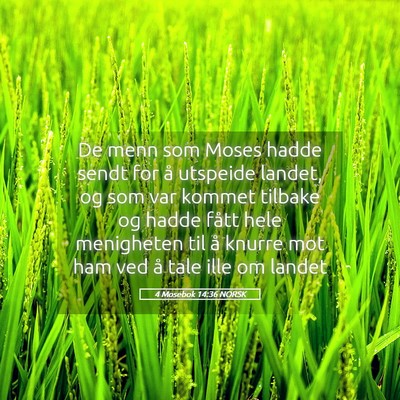 Picture 05 - 4 Mosebok 14:36 NORSK - De menn som Moses hadde sendt for å utspeide - Bible Verse Picture