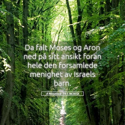 Picture 05 - 4 Mosebok 14:5 NORSK - Da falt Moses og Aron ned på sitt ansikt foran - Bible Verse Picture
