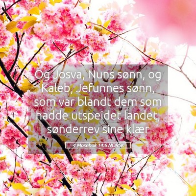 Picture 05 - 4 Mosebok 14:6 NORSK - Og Josva, Nuns sønn, og Kaleb, Jefunnes sønn, - Bible Verse Picture