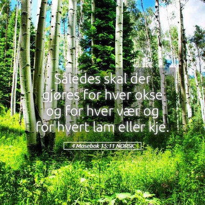 Picture 05 - 4 Mosebok 15:11 NORSK - Således skal der gjøres for hver okse og for - Bible Verse Picture