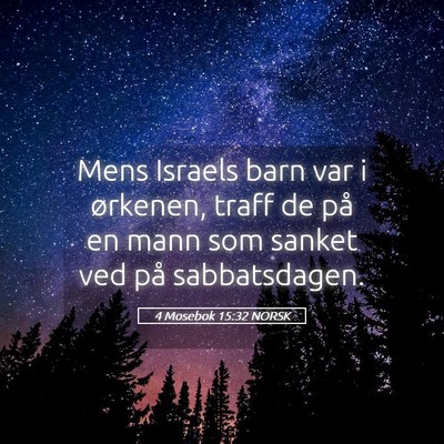 Picture 05 - 4 Mosebok 15:32 NORSK - Mens Israels barn var i ørkenen, traff de på en - Bible Verse Picture