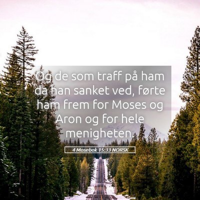 Picture 05 - 4 Mosebok 15:33 NORSK - Og de som traff på ham da han sanket ved, førte - Bible Verse Picture