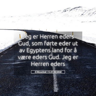 Picture 05 - 4 Mosebok 15:41 NORSK - Jeg er Herren eders Gud, som førte eder ut av - Bible Verse Picture