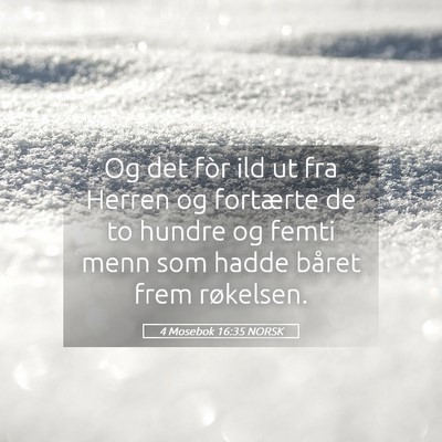 Picture 05 - 4 Mosebok 16:35 NORSK - Og det fòr ild ut fra Herren og fortærte de to - Bible Verse Picture