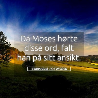 Picture 05 - 4 Mosebok 16:4 NORSK - Da Moses hørte disse ord, falt han på sitt - Bible Verse Picture