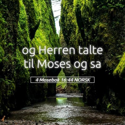 Picture 05 - 4 Mosebok 16:44 NORSK - og Herren talte til Moses og - Bible Verse Picture