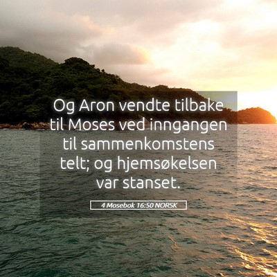 Picture 05 - 4 Mosebok 16:50 NORSK - Og Aron vendte tilbake til Moses ved inngangen - Bible Verse Picture