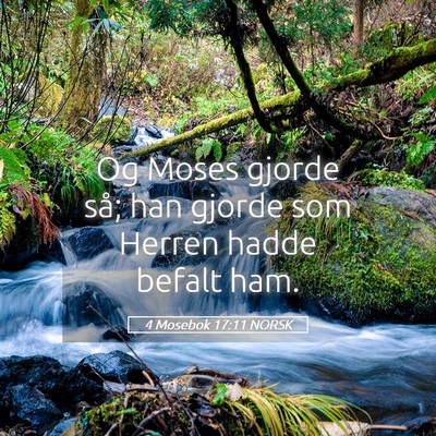 Picture 05 - 4 Mosebok 17:11 NORSK - Og Moses gjorde så; han gjorde som Herren hadde - Bible Verse Picture