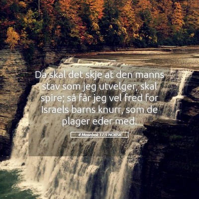 Picture 05 - 4 Mosebok 17:5 NORSK - Da skal det skje at den manns stav som jeg - Bible Verse Picture