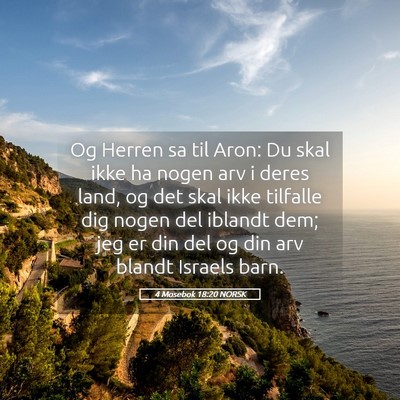 Picture 05 - 4 Mosebok 18:20 NORSK - Og Herren sa til Aron: Du skal ikke ha nogen arv - Bible Verse Picture