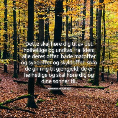 Picture 05 - 4 Mosebok 18:9 NORSK - Dette skal høre dig til av det høihellige og - Bible Verse Picture