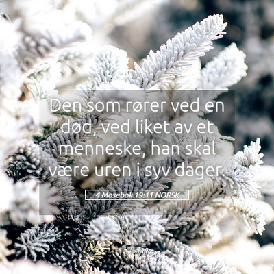 Picture 05 - 4 Mosebok 19:11 NORSK - Den som rører ved en død, ved liket av et - Bible Verse Picture