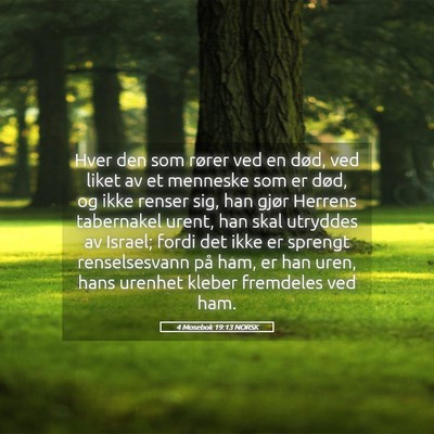 Picture 05 - 4 Mosebok 19:13 NORSK - Hver den som rører ved en død, ved liket av et - Bible Verse Picture