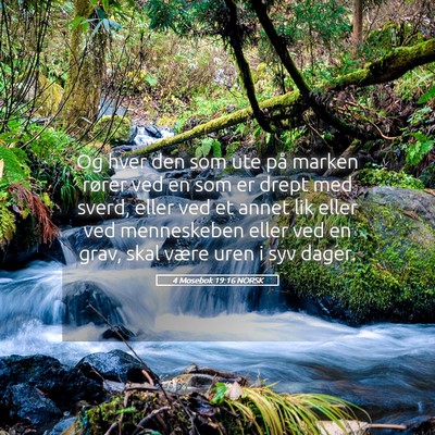 Picture 05 - 4 Mosebok 19:16 NORSK - Og hver den som ute på marken rører ved en som - Bible Verse Picture