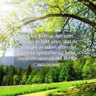 Picture 05 - 4 Mosebok 19:17 NORSK - Og for å rense den som således er blitt uren, - Bible Verse Picture