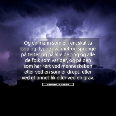 Picture 05 - 4 Mosebok 19:18 NORSK - Og en mann som er ren, skal ta Isop og dyppe i - Bible Verse Picture