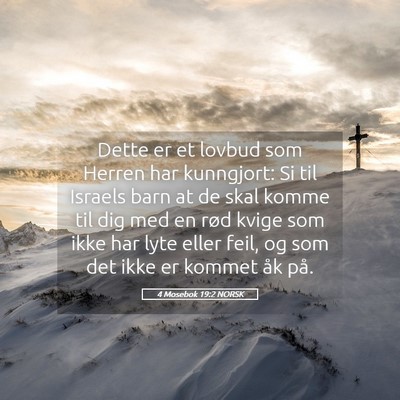 Picture 05 - 4 Mosebok 19:2 NORSK - Dette er et lovbud som Herren har kunngjort: Si - Bible Verse Picture