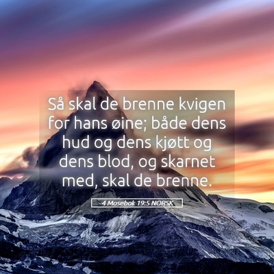 Picture 05 - 4 Mosebok 19:5 NORSK - Så skal de brenne kvigen for hans øine; både - Bible Verse Picture
