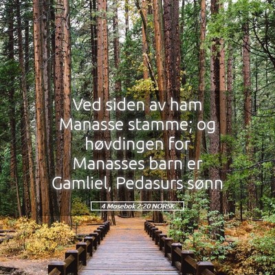 Picture 05 - 4 Mosebok 2:20 NORSK - Ved siden av ham Manasse stamme; og høvdingen - Bible Verse Picture