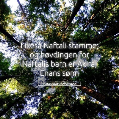 Picture 05 - 4 Mosebok 2:29 NORSK - Likeså Naftali stamme; og høvdingen for - Bible Verse Picture