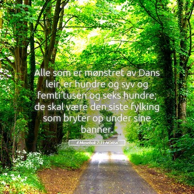 Picture 05 - 4 Mosebok 2:31 NORSK - Alle som er mønstret av Dans leir, er hundre og - Bible Verse Picture