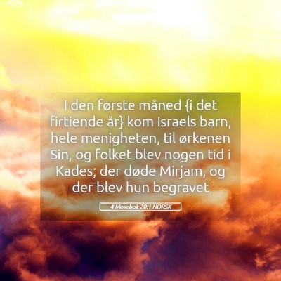 Picture 05 - 4 Mosebok 20:1 NORSK - I den første måned {i det firtiende år} kom - Bible Verse Picture