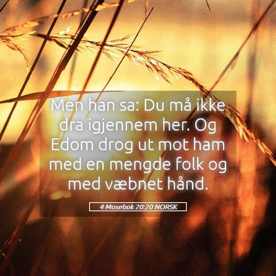 Picture 05 - 4 Mosebok 20:20 NORSK - Men han sa: Du må ikke dra igjennem her. Og Edom - Bible Verse Picture