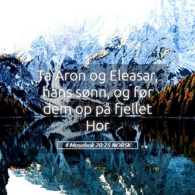 Picture 05 - 4 Mosebok 20:25 NORSK - Ta Aron og Eleasar, hans sønn, og før dem op - Bible Verse Picture