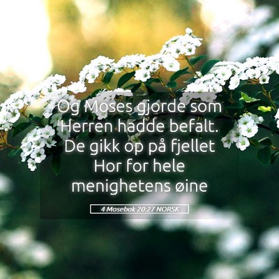 Picture 05 - 4 Mosebok 20:27 NORSK - Og Moses gjorde som Herren hadde befalt. De gikk - Bible Verse Picture