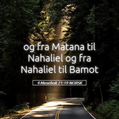 Picture 05 - 4 Mosebok 21:19 NORSK - og fra Matana til Nahaliel og fra Nahaliel til - Bible Verse Picture