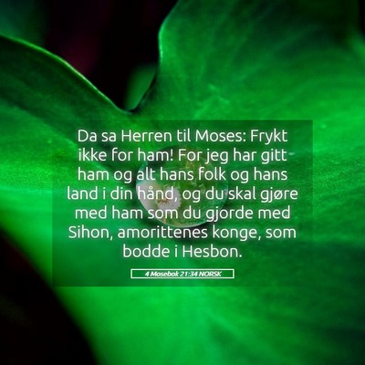Picture 05 - 4 Mosebok 21:34 NORSK - Da sa Herren til Moses: Frykt ikke for ham! For - Bible Verse Picture