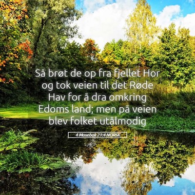 Picture 05 - 4 Mosebok 21:4 NORSK - Så brøt de op fra fjellet Hor og tok veien til - Bible Verse Picture