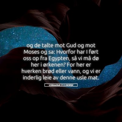 Picture 05 - 4 Mosebok 21:5 NORSK - og de talte mot Gud og mot Moses og sa: Hvorfor - Bible Verse Picture