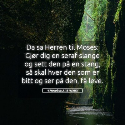 Picture 05 - 4 Mosebok 21:8 NORSK - Da sa Herren til Moses: Gjør dig en seraf-slange - Bible Verse Picture
