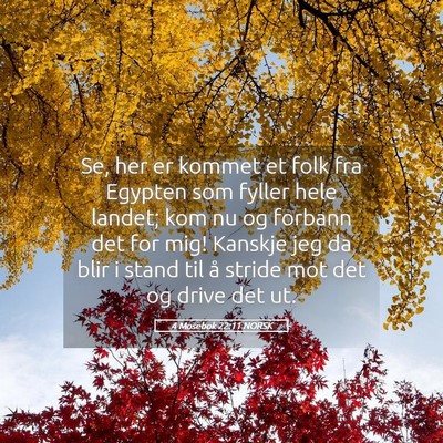 Picture 05 - 4 Mosebok 22:11 NORSK - Se, her er kommet et folk fra Egypten som fyller - Bible Verse Picture