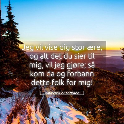 Picture 05 - 4 Mosebok 22:17 NORSK - Jeg vil vise dig stor ære, og alt det du sier - Bible Verse Picture