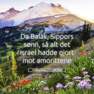 Picture 05 - 4 Mosebok 22:2 NORSK - Da Balak, Sippors sønn, så alt det Israel hadde - Bible Verse Picture
