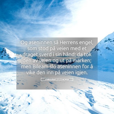 Picture 05 - 4 Mosebok 22:23 NORSK - Og aseninnen så Herrens engel, som stod på - Bible Verse Picture