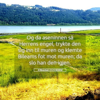 Picture 05 - 4 Mosebok 22:25 NORSK - Og da aseninnen så Herrens engel, trykte den sig - Bible Verse Picture