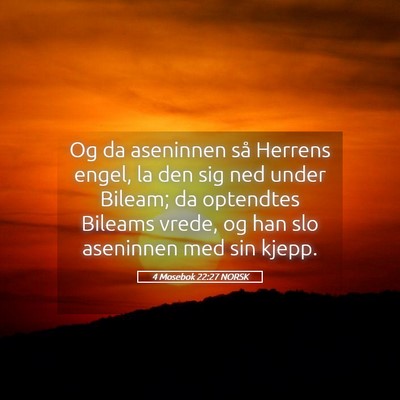 Picture 05 - 4 Mosebok 22:27 NORSK - Og da aseninnen så Herrens engel, la den sig ned - Bible Verse Picture