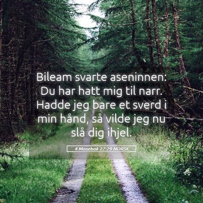 Picture 05 - 4 Mosebok 22:29 NORSK - Bileam svarte aseninnen: Du har hatt mig til - Bible Verse Picture