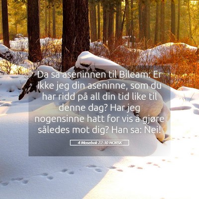 Picture 05 - 4 Mosebok 22:30 NORSK - Da sa aseninnen til Bileam: Er ikke jeg din - Bible Verse Picture