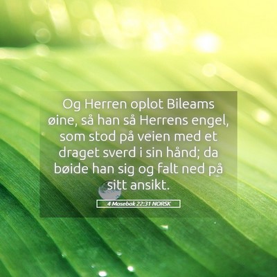 Picture 05 - 4 Mosebok 22:31 NORSK - Og Herren oplot Bileams øine, så han så - Bible Verse Picture