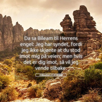 Picture 05 - 4 Mosebok 22:34 NORSK - Da sa Bileam til Herrens engel: Jeg har syndet, - Bible Verse Picture