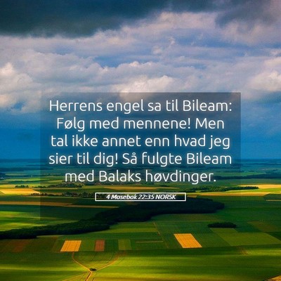 Picture 05 - 4 Mosebok 22:35 NORSK - Herrens engel sa til Bileam: Følg med mennene! - Bible Verse Picture