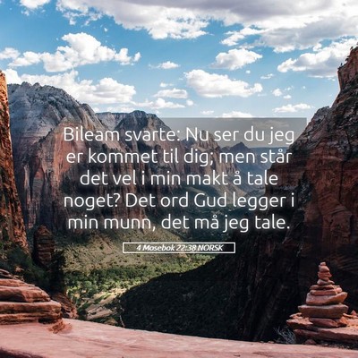 Picture 05 - 4 Mosebok 22:38 NORSK - Bileam svarte: Nu ser du jeg er kommet til dig; - Bible Verse Picture
