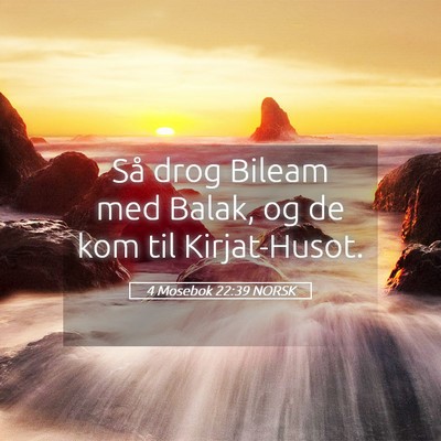 Picture 05 - 4 Mosebok 22:39 NORSK - Så drog Bileam med Balak, og de kom til - Bible Verse Picture